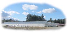greenhouses