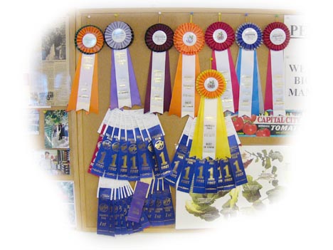 ribbons
